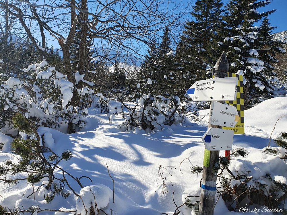 Czarny Staw Gąsienicowy: Kierunkowskaz na Czarny Staw Gąsienicowy