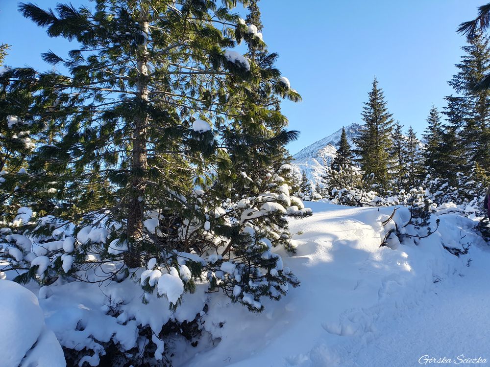 Czarny Staw Gąsienicowy: Pierwszy fragment szlaku niebieskiego