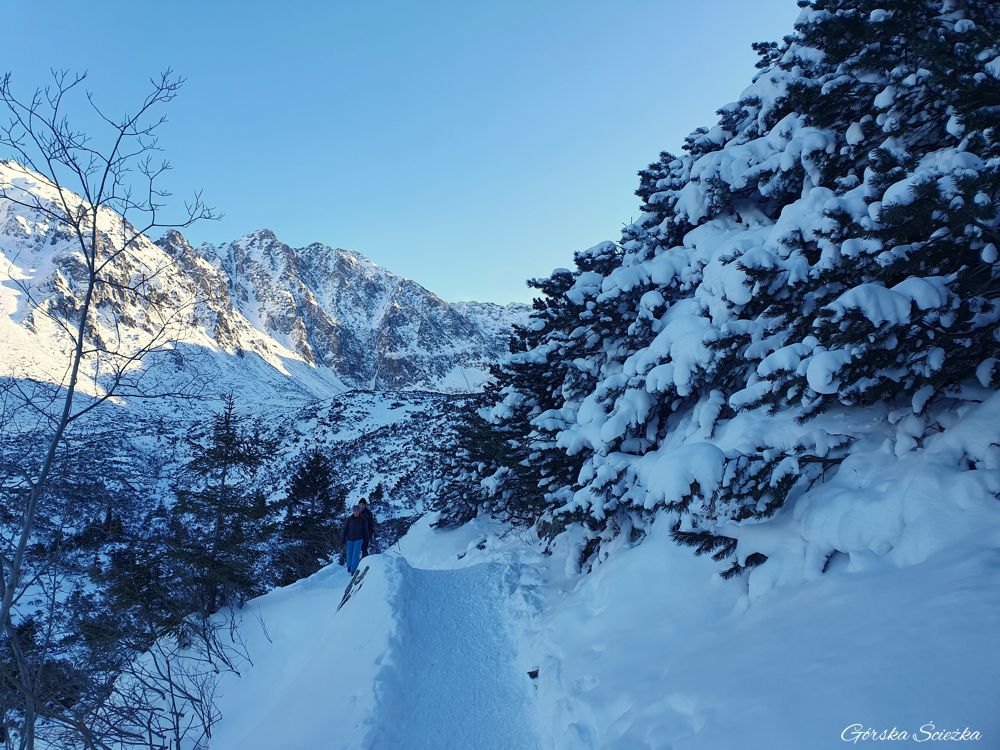 Czarny Staw Gąsienicowy: Na szlaku niebieskim