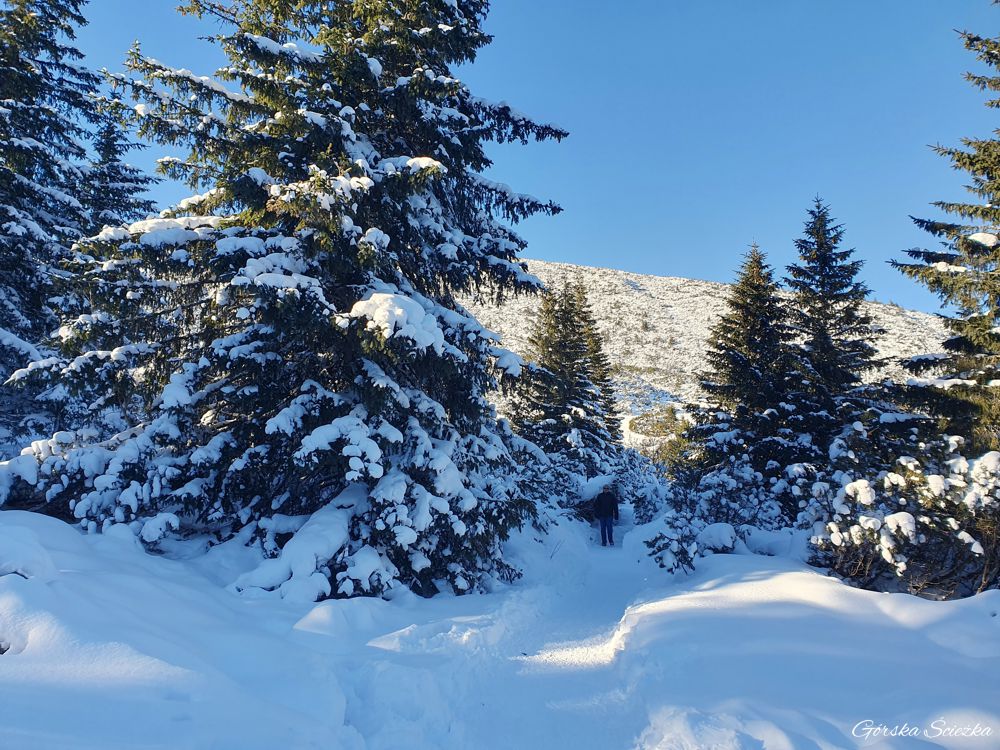 Czarny Staw Gąsienicowy: Pierwszy fragment szlaku niebieskiego