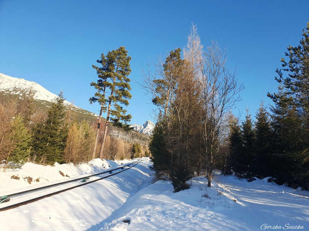 Hrebienok: Torowisko obok szlaku turystycznego