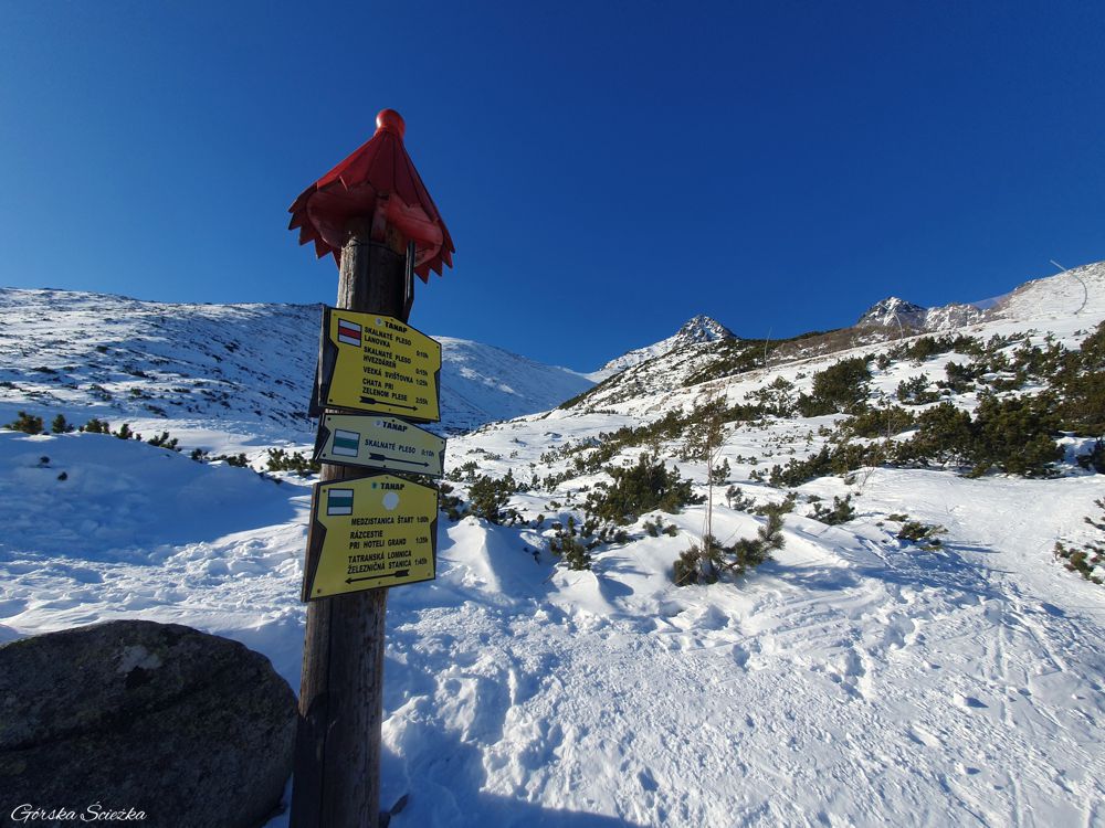 Łomnicki Staw zimą: Miejsce połączenia szlaku czerwonego z zielonym