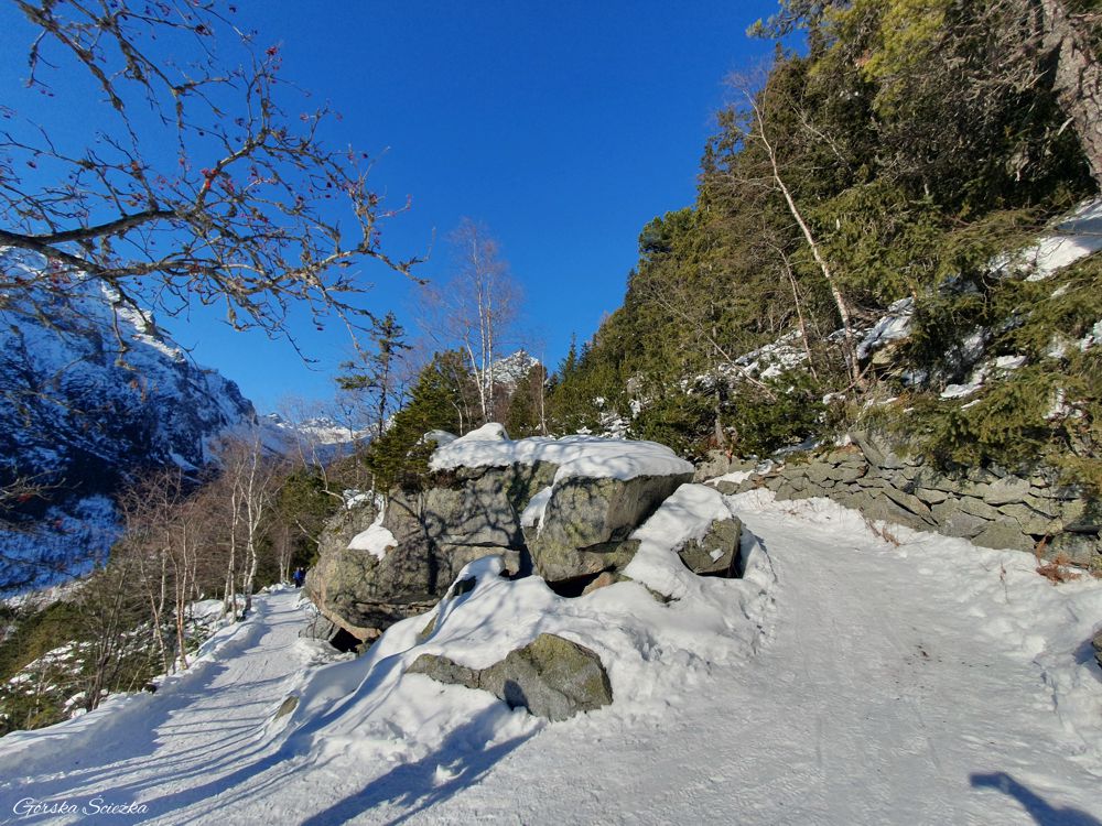 Łomnicki Staw zimą: Szlak zielony powyżej Rainerovej Chaty
