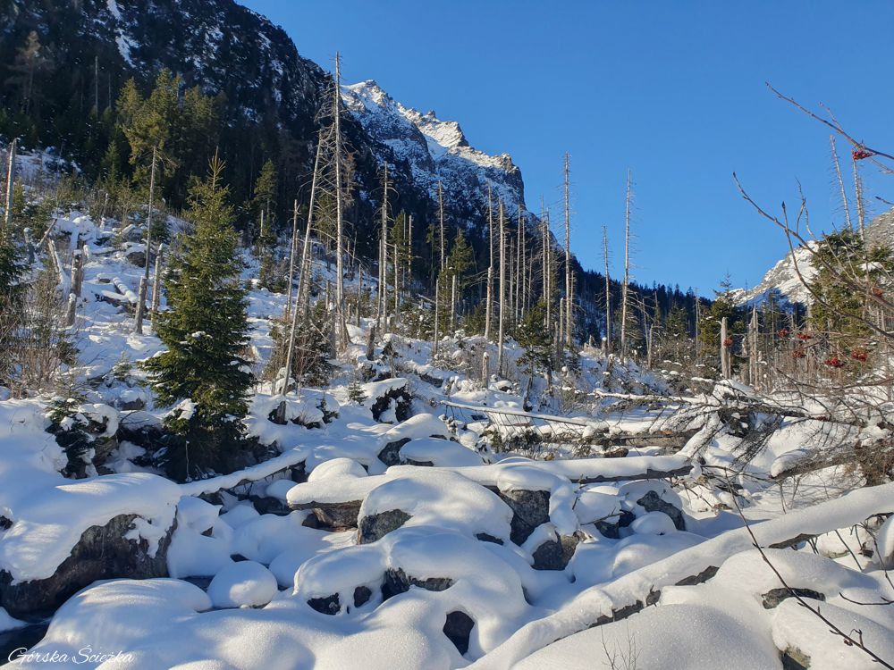 Łomnicki Staw zimą: Wodospady Zimnej Wody