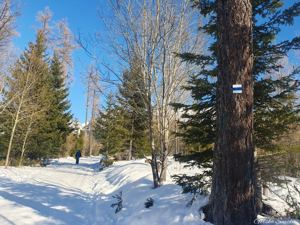 Popradzki Staw: Szlak niebieski