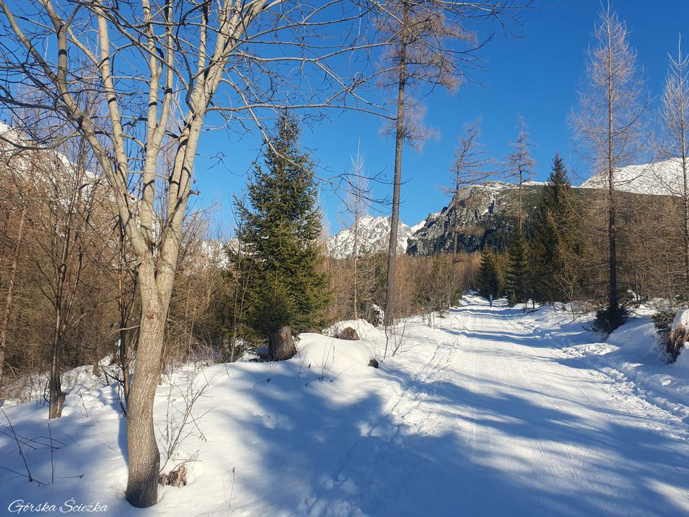 Popradzki Staw: Trasa dnem Doliny Mięguszowieckiej