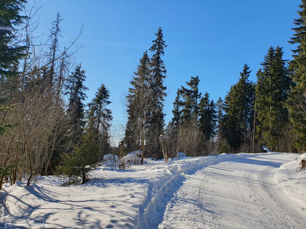 Popradzki Staw: Fragment szlaku niebieskiego