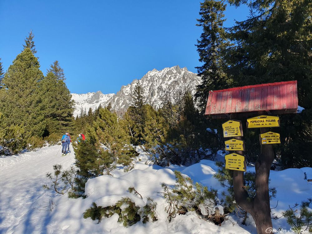 Popradzki Staw: Odejście szlaku żółtego (zakaz wejścia)