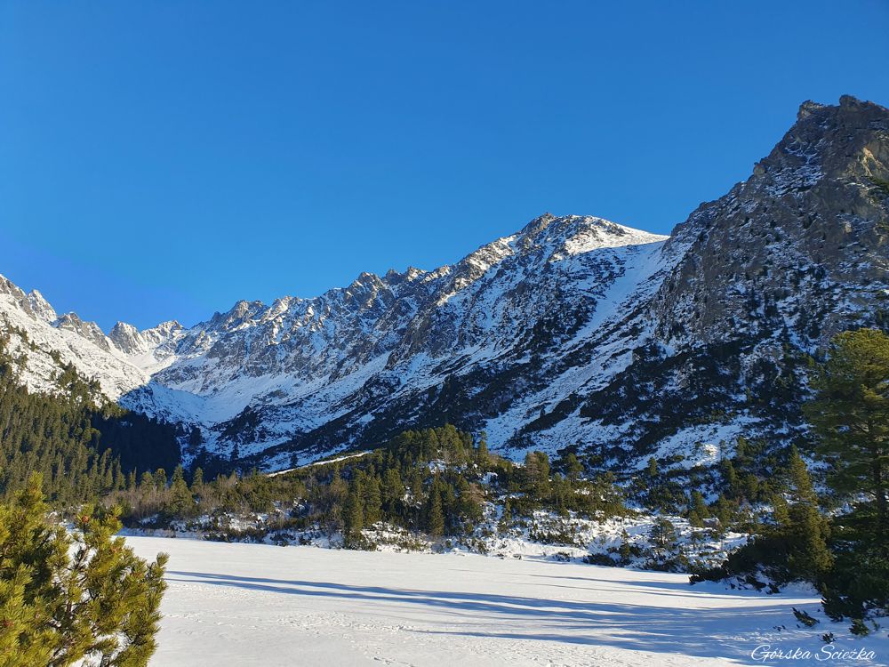 Popradzki Staw: Przy brzegu jeziora (szlak żółty)