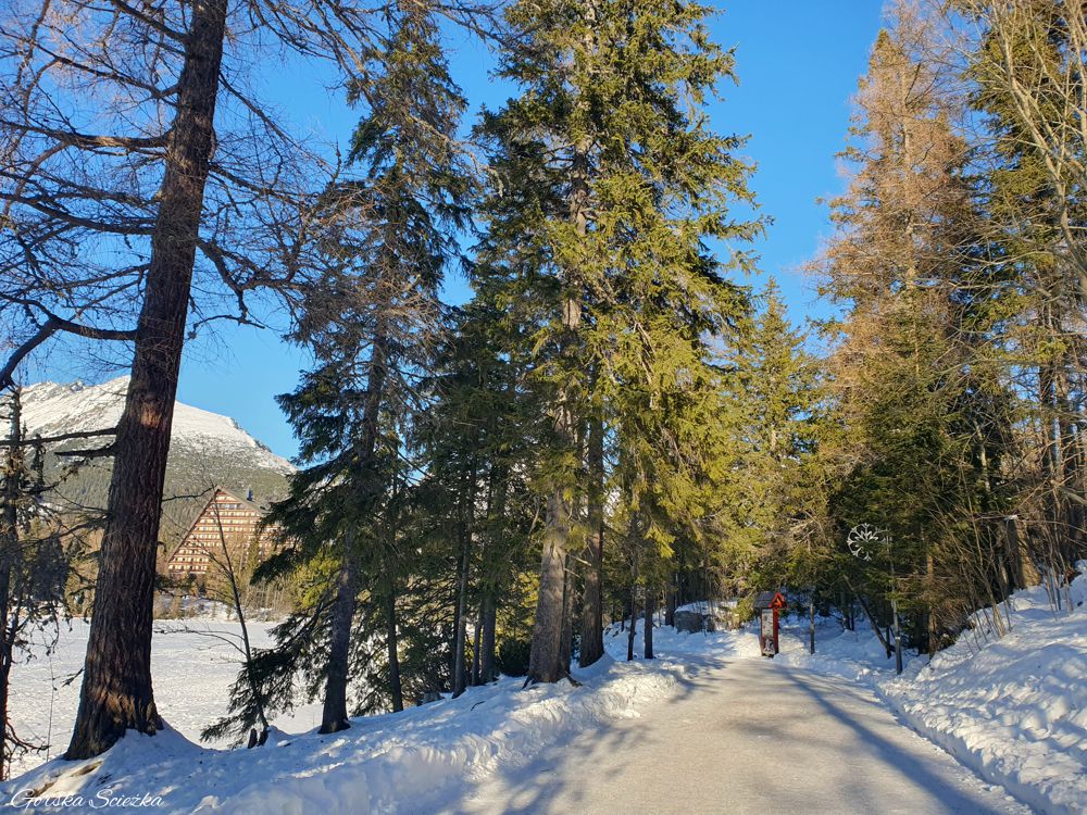 Szczyrbskie Jezioro: Aleja spacerowa