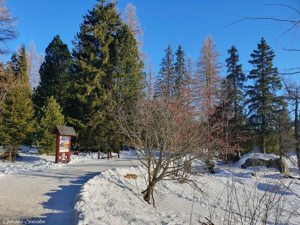 Szczyrbskie Jezioro: Aleja spacerowa