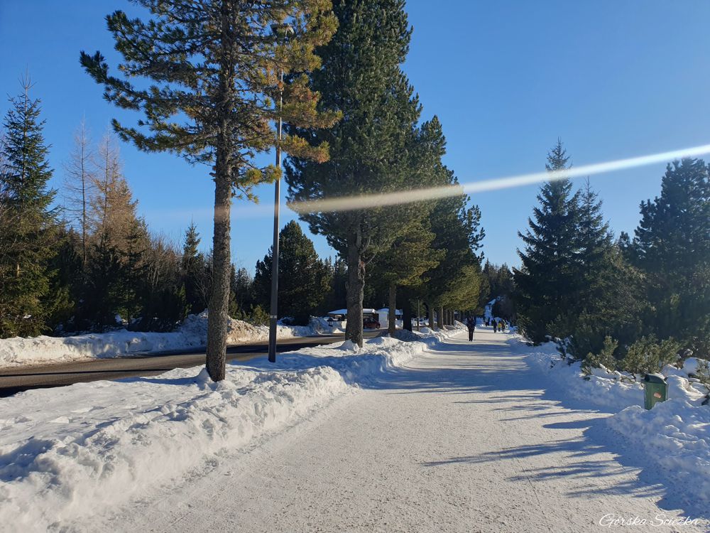 Szczyrbskie Jezioro: Szlak żółty w stronę skoczni