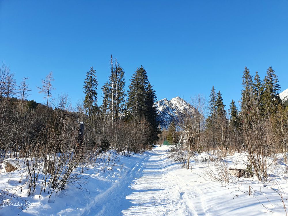 Wodospad Skok: Początek szlaku na Wodospad Skok