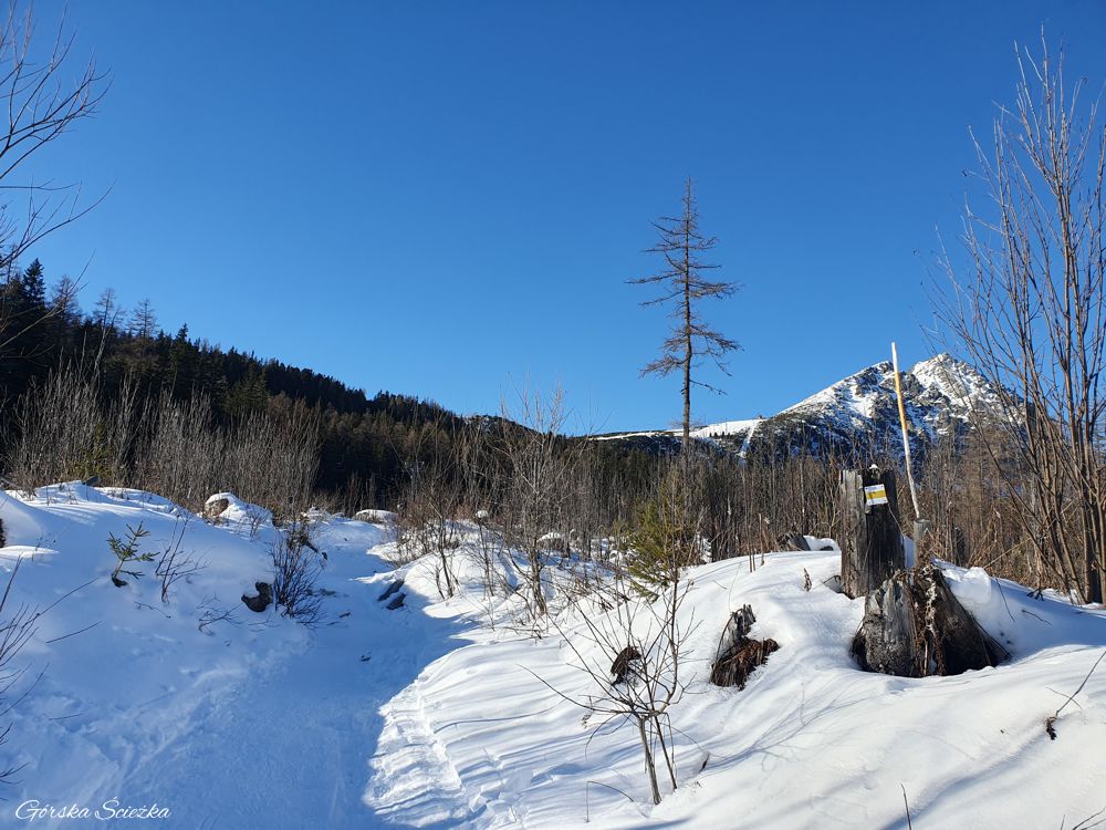 Wodospad Skok: Dalszy fragment szlaku